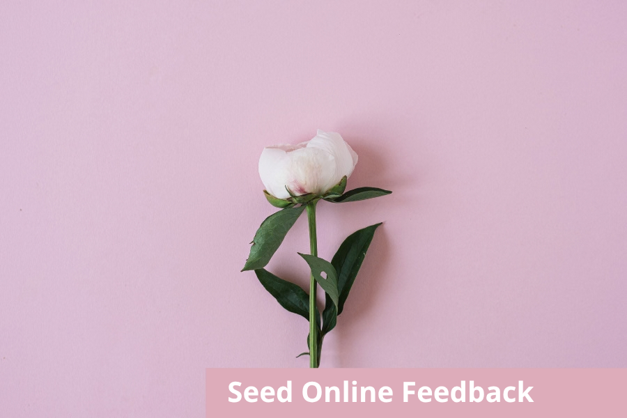Seed Online Feedback.png