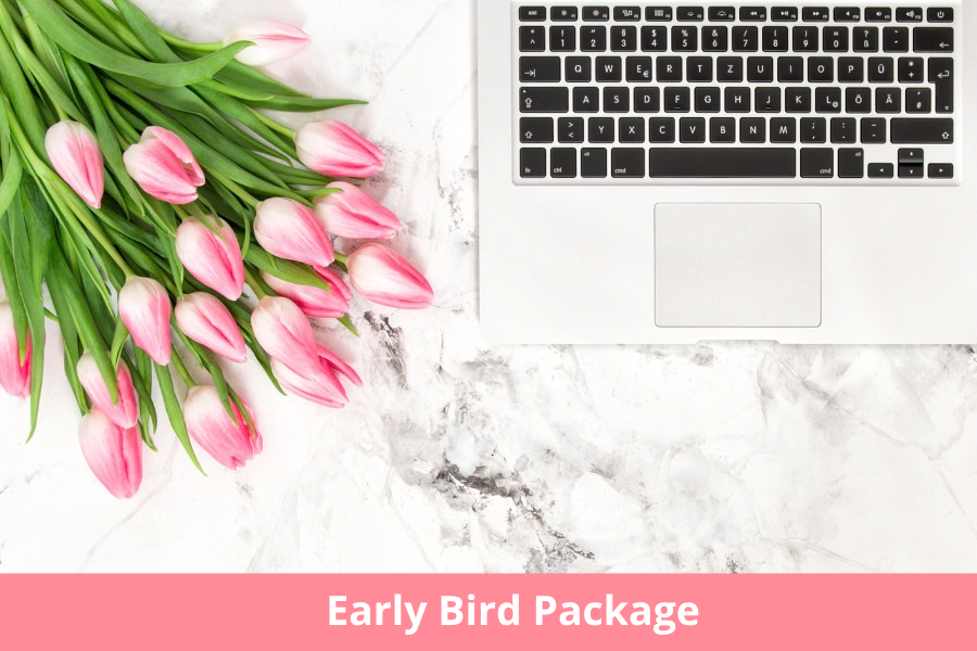 Early Bird Package Industry Ready Online
