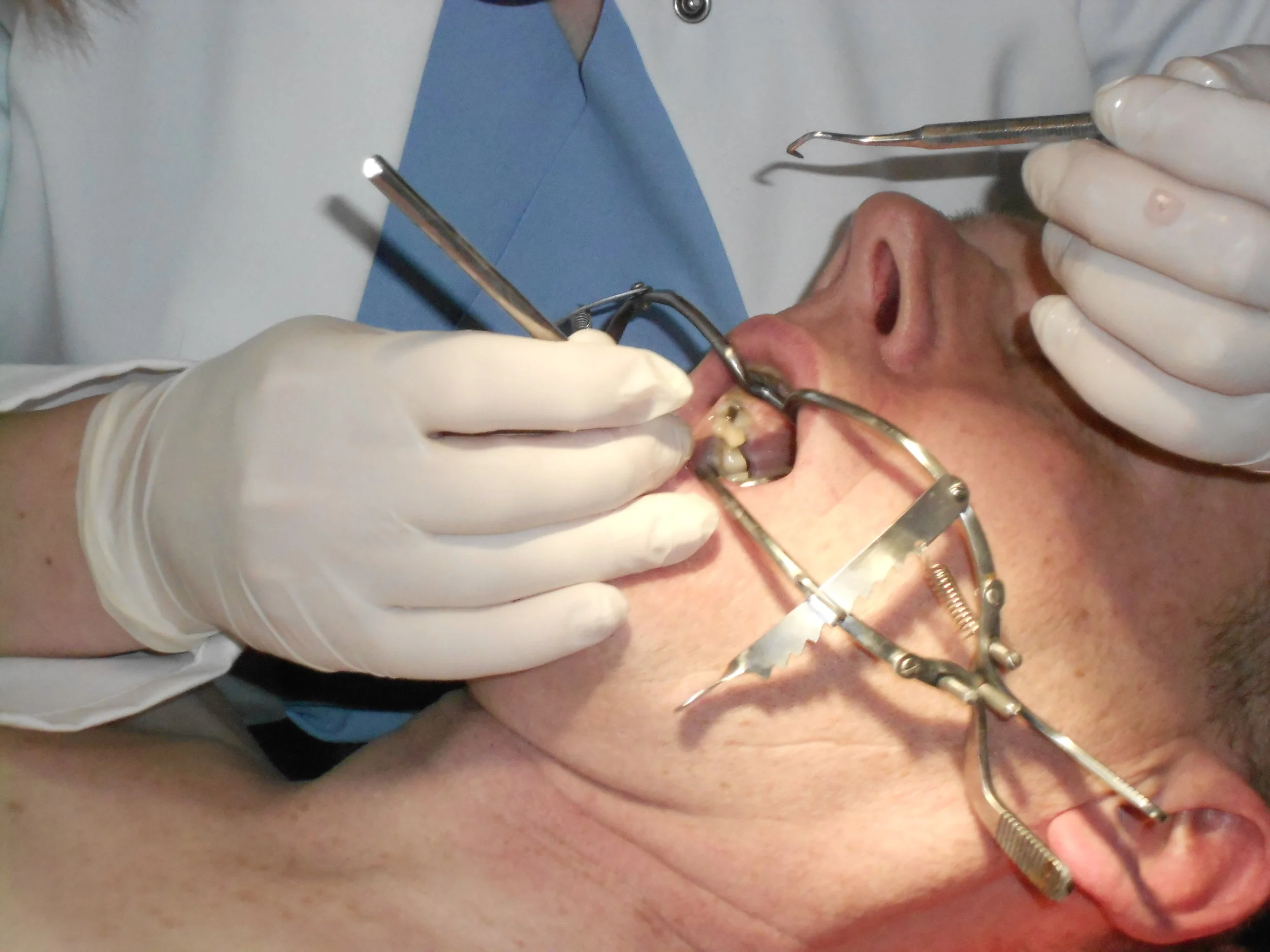 2011-2012 winter 523.JPG