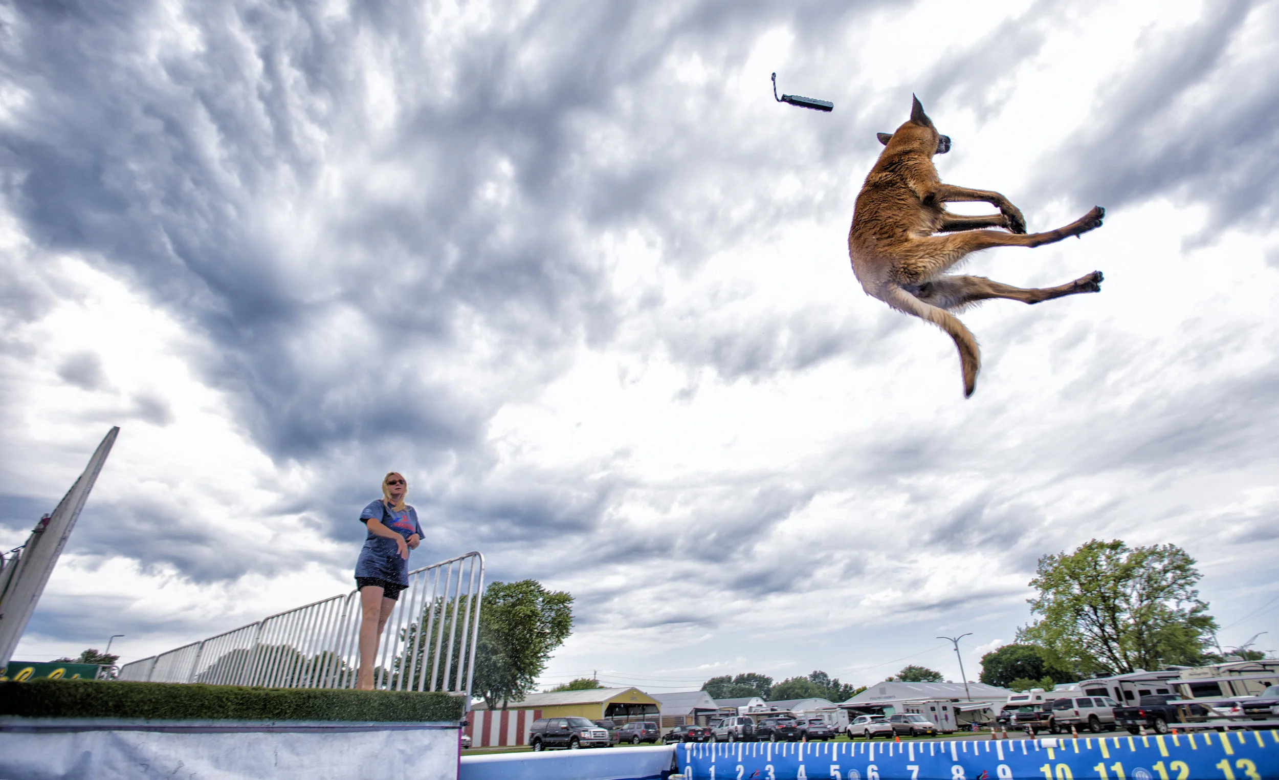 Dock Diving Monroe, MI