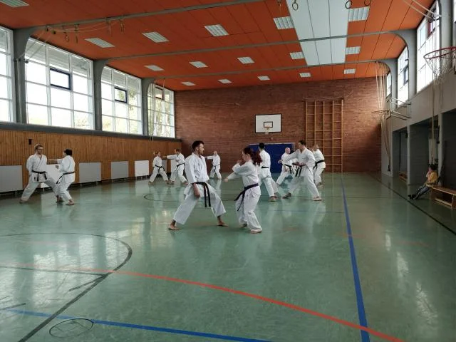 IMG_20180414_120252.jpg