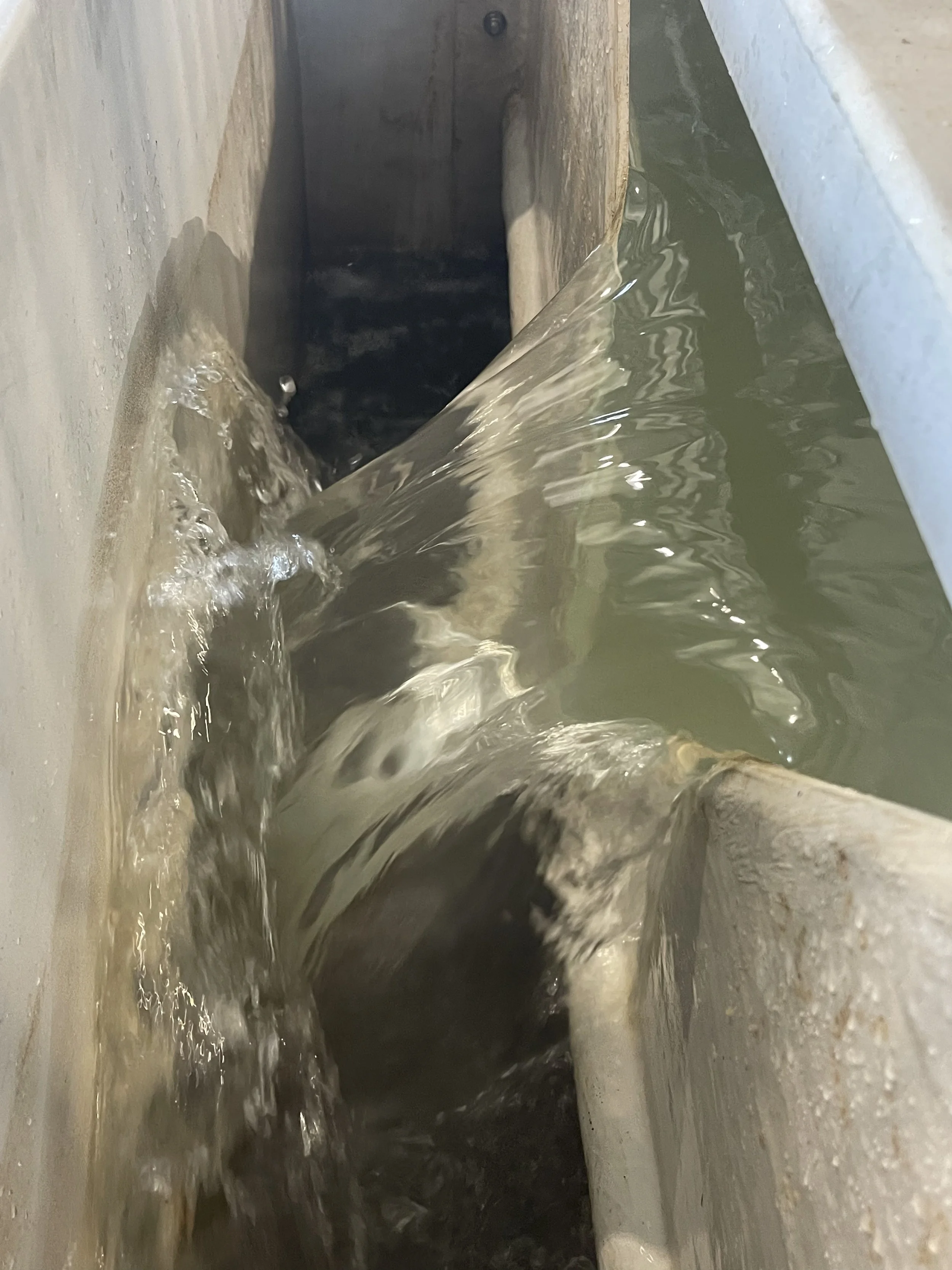 Industrial wastewater flowing over a treatment-system weir during an onsite inspection