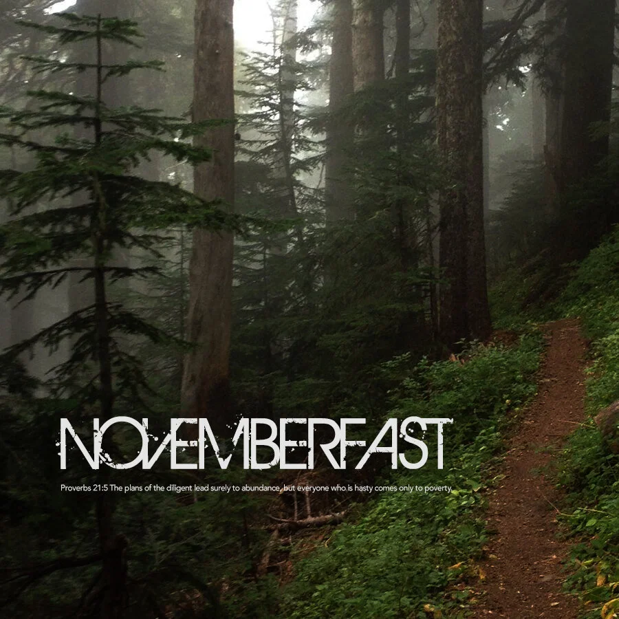 NovemberFast: Surely - Abundance