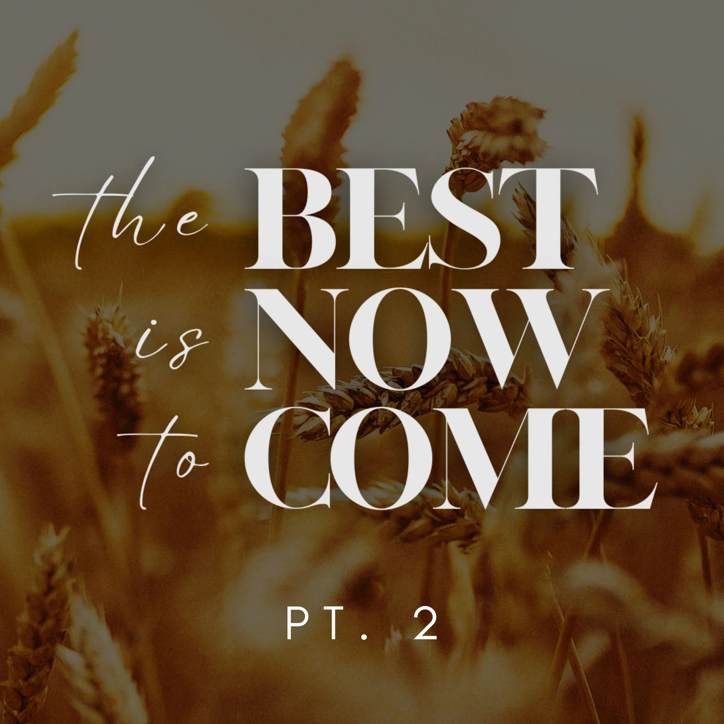 THE BEST IS NOW TO COME: Pt. 2