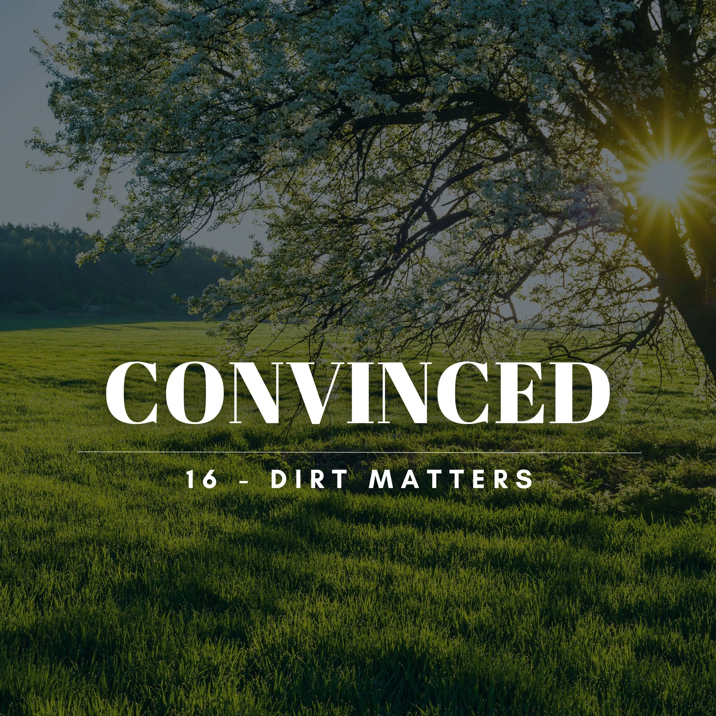 CONVINCED: Dirt Matters