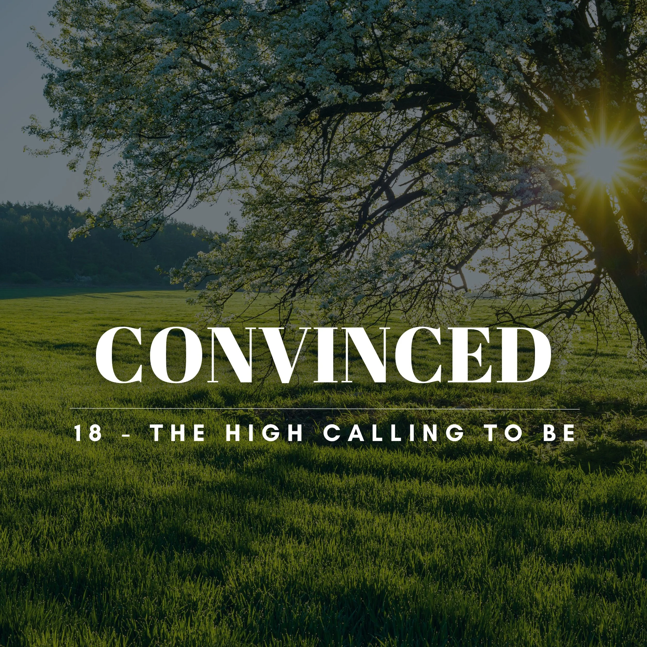 CONVINCED: The High Calling To BE