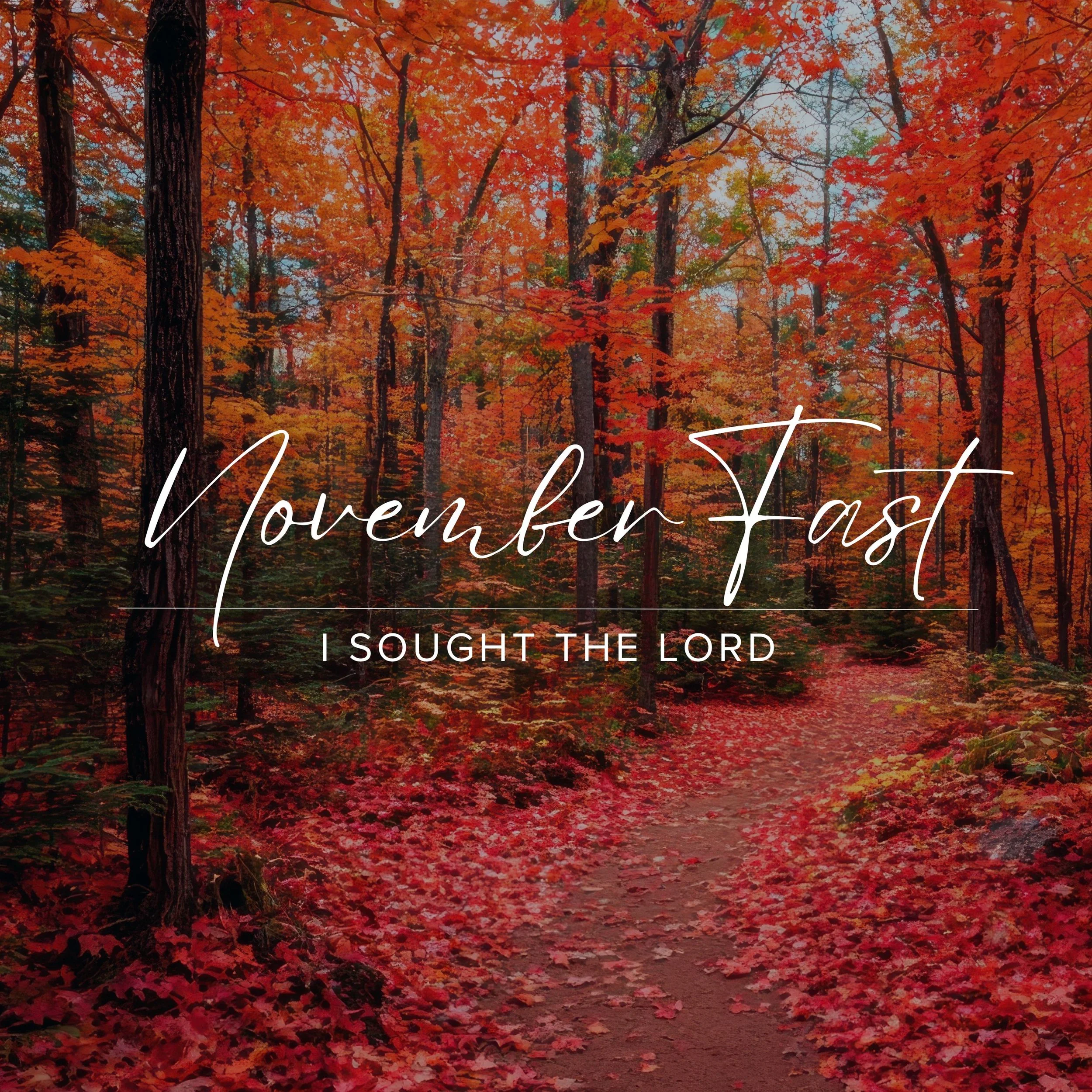 NOVEMBERFAST: I Sought the Lord