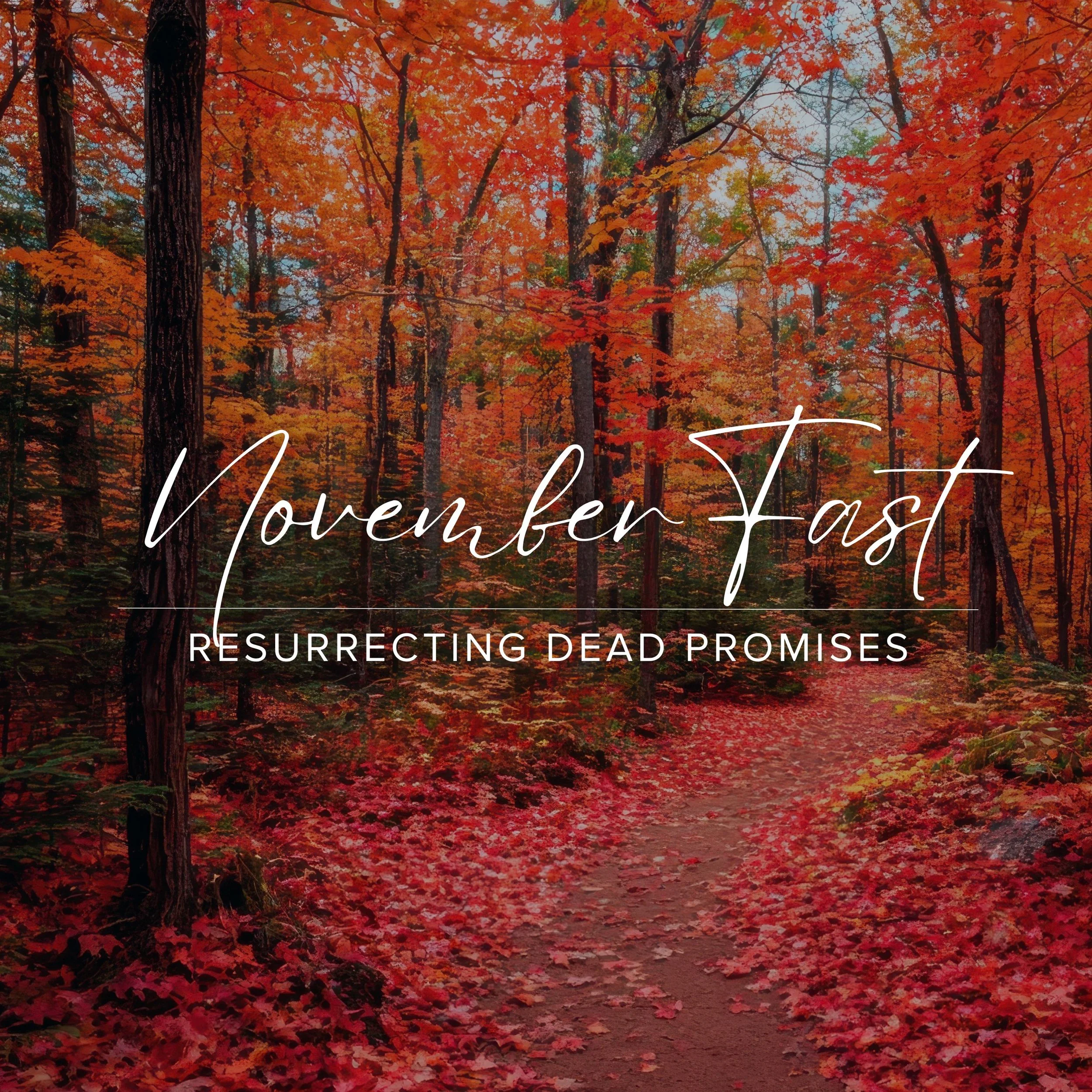 NOVEMBERFAST: Resurrecting Dead Promises