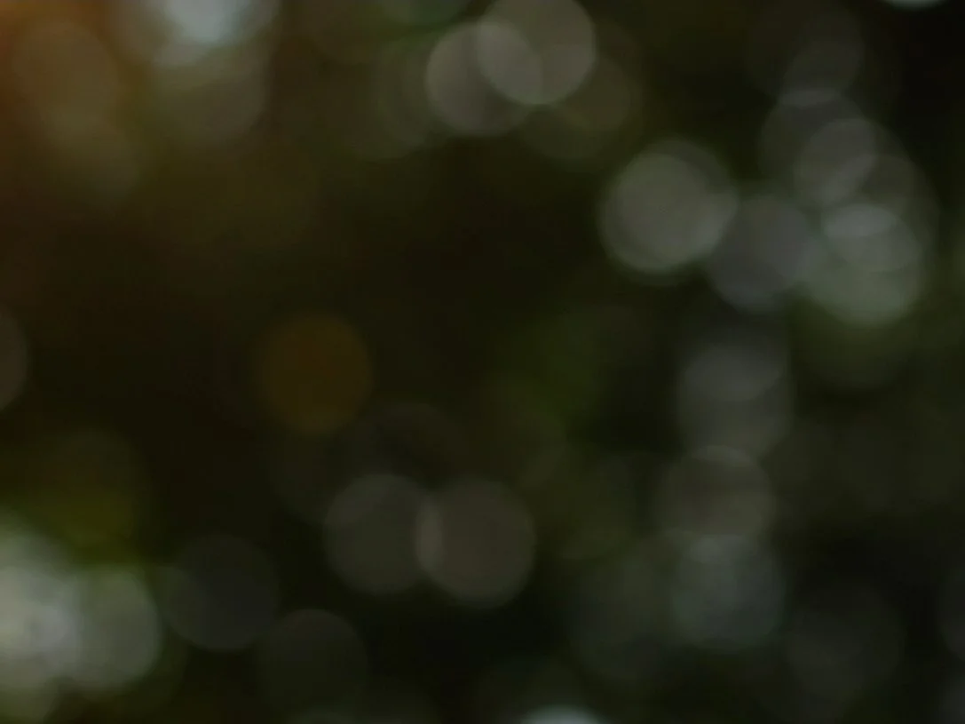 DZO Vespid Cine Prime &amp; Zeiss Contax Prime Comparison