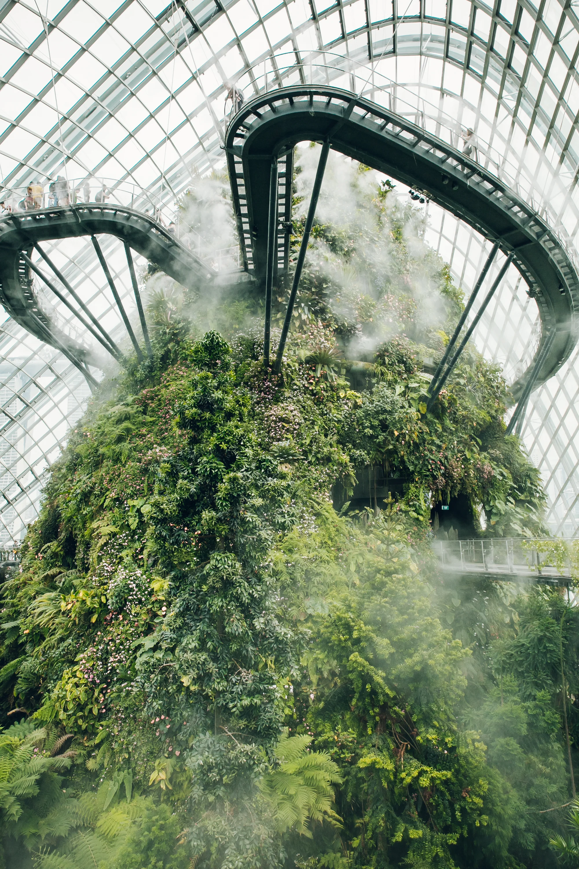 Gardens+by+the+Bay+from+Glasshouse+Greenhouse+-+the+Haarkon+Book..jpeg