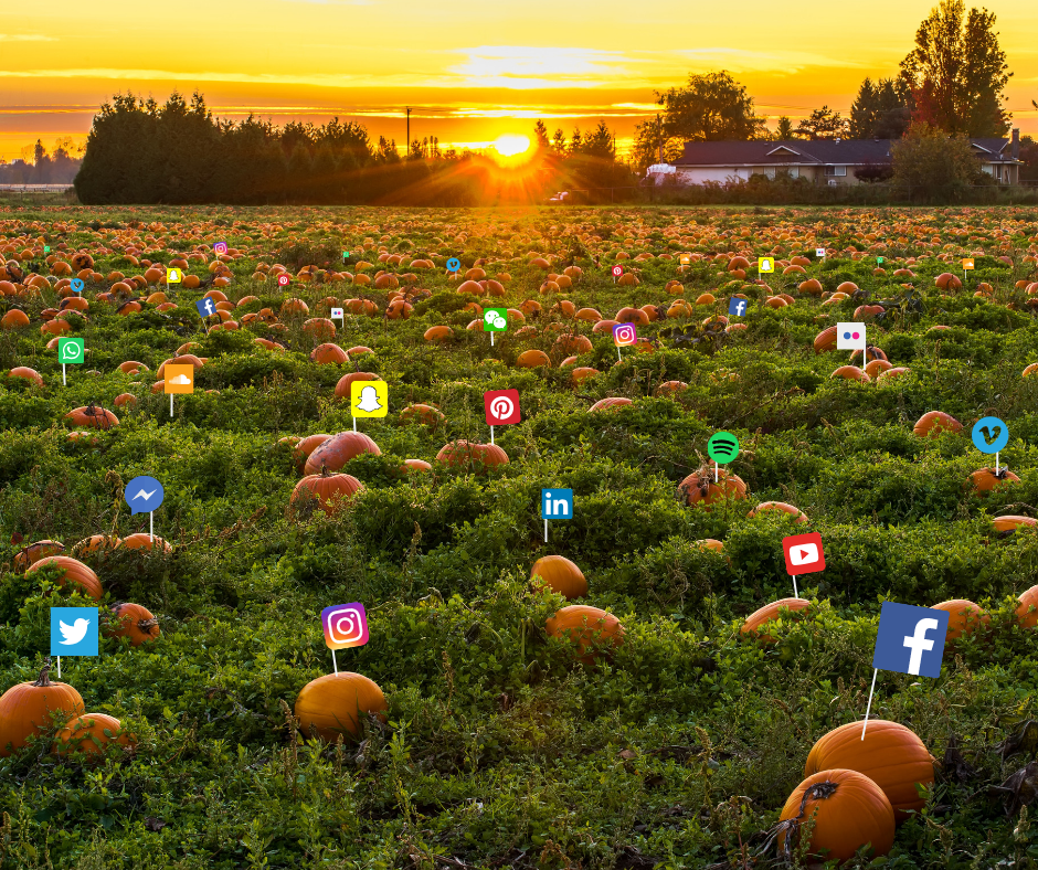 The Social Media Landscape- A Terrifying Tale