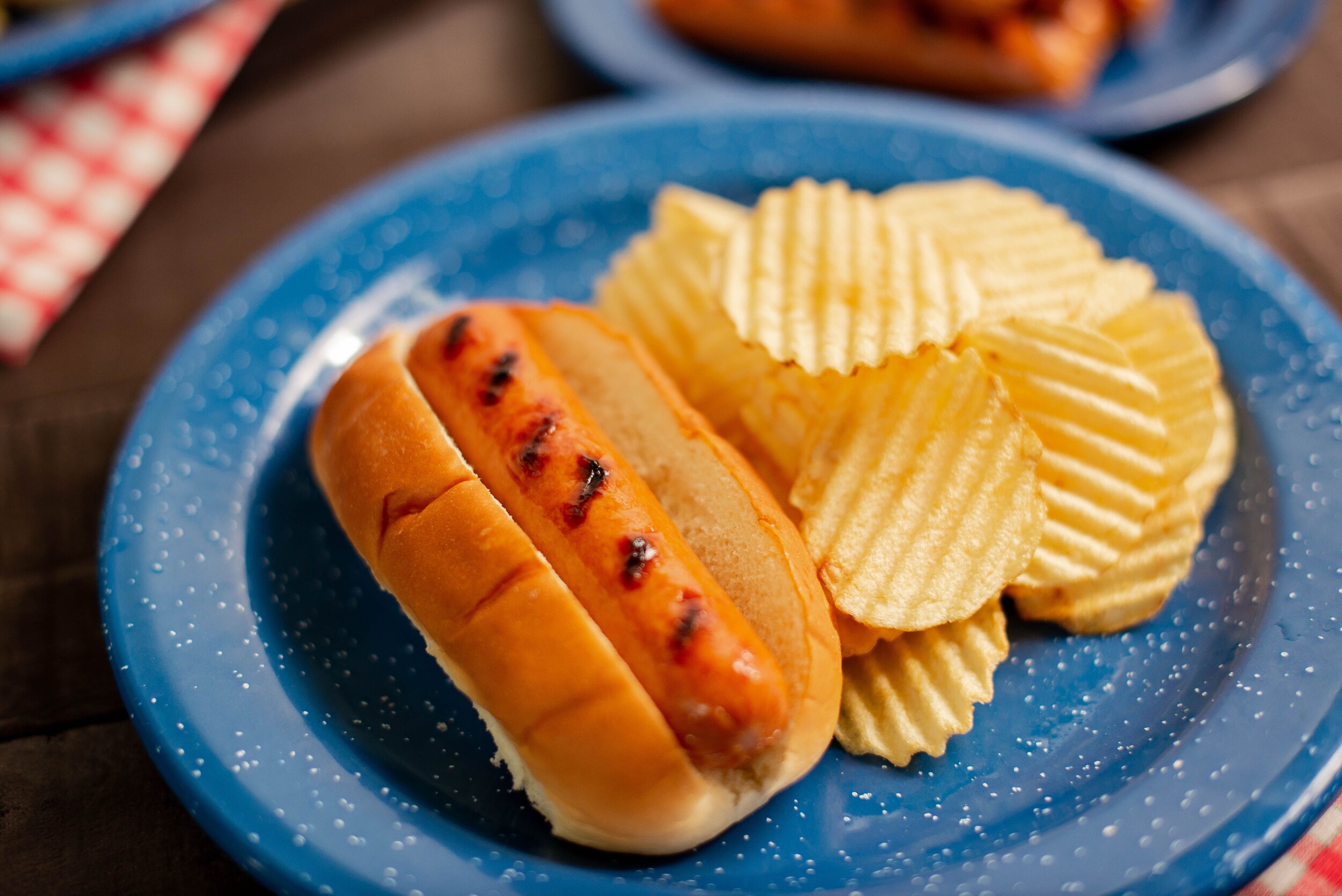 hot dog plate.jpeg
