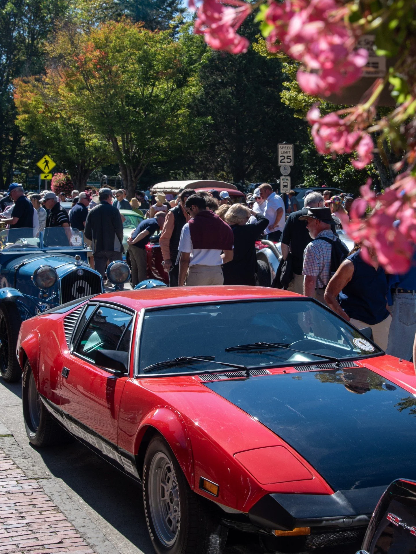 Spring blooms bring us back to the Bellevue car display 🌞🌷 Plan your trip to Newport for #ACMW2026 NOW!
-
-
#audrainconcours #flowers #cars #newportri