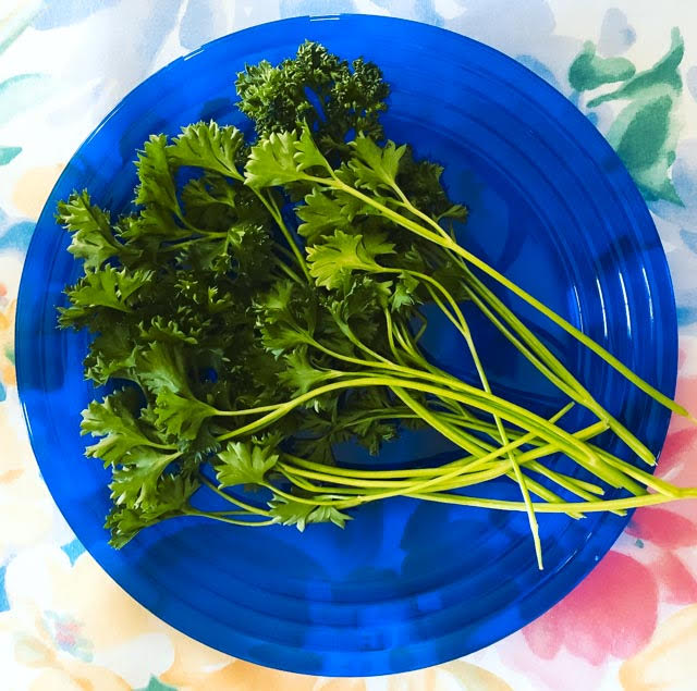 Blue dish.jpg
