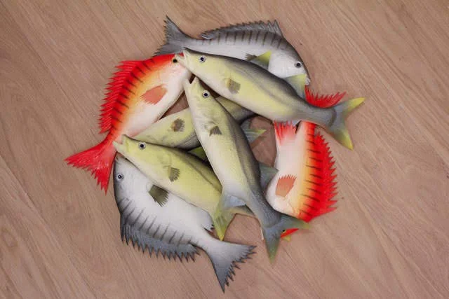 circlefish.jpg
