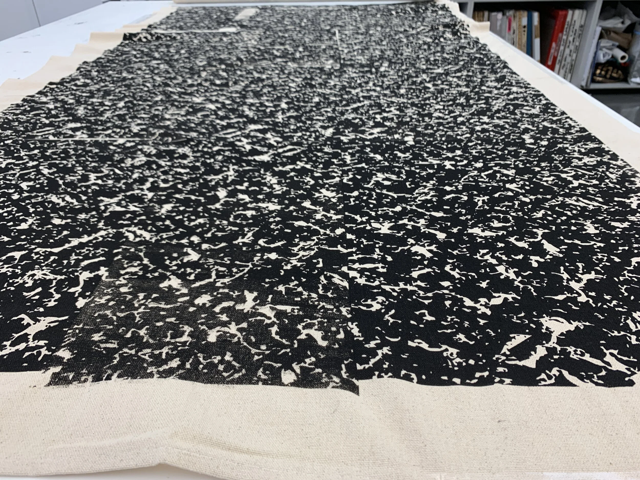 rs_detail printing copy.JPG