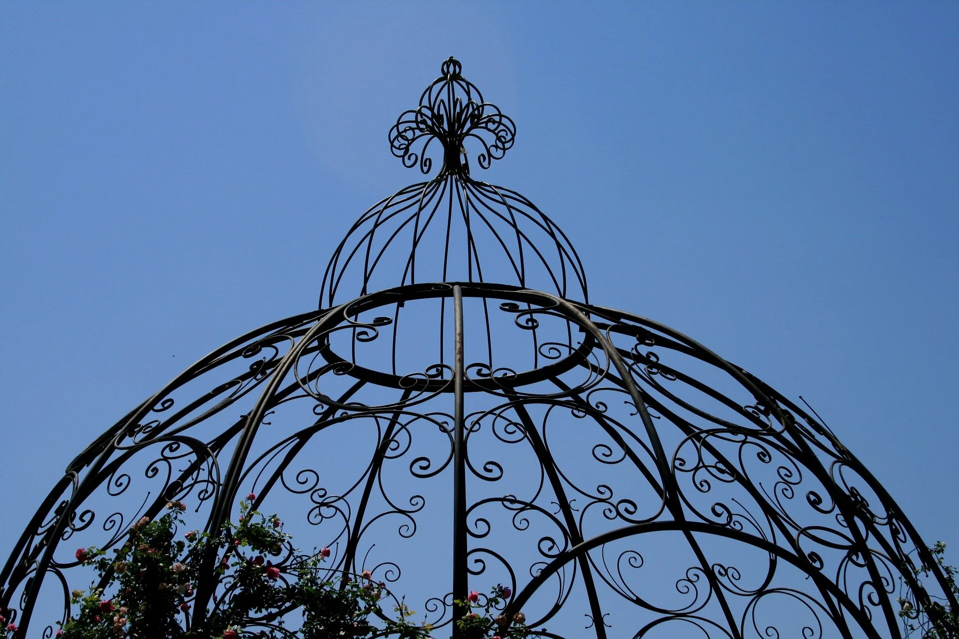 Has COVID-19 rattled our cages? 