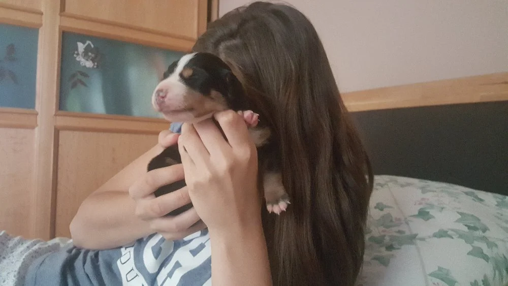 20180708_104229.jpg