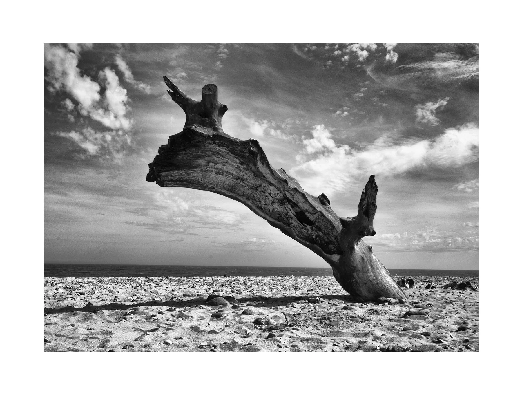 3361 BW-E copy web.jpg