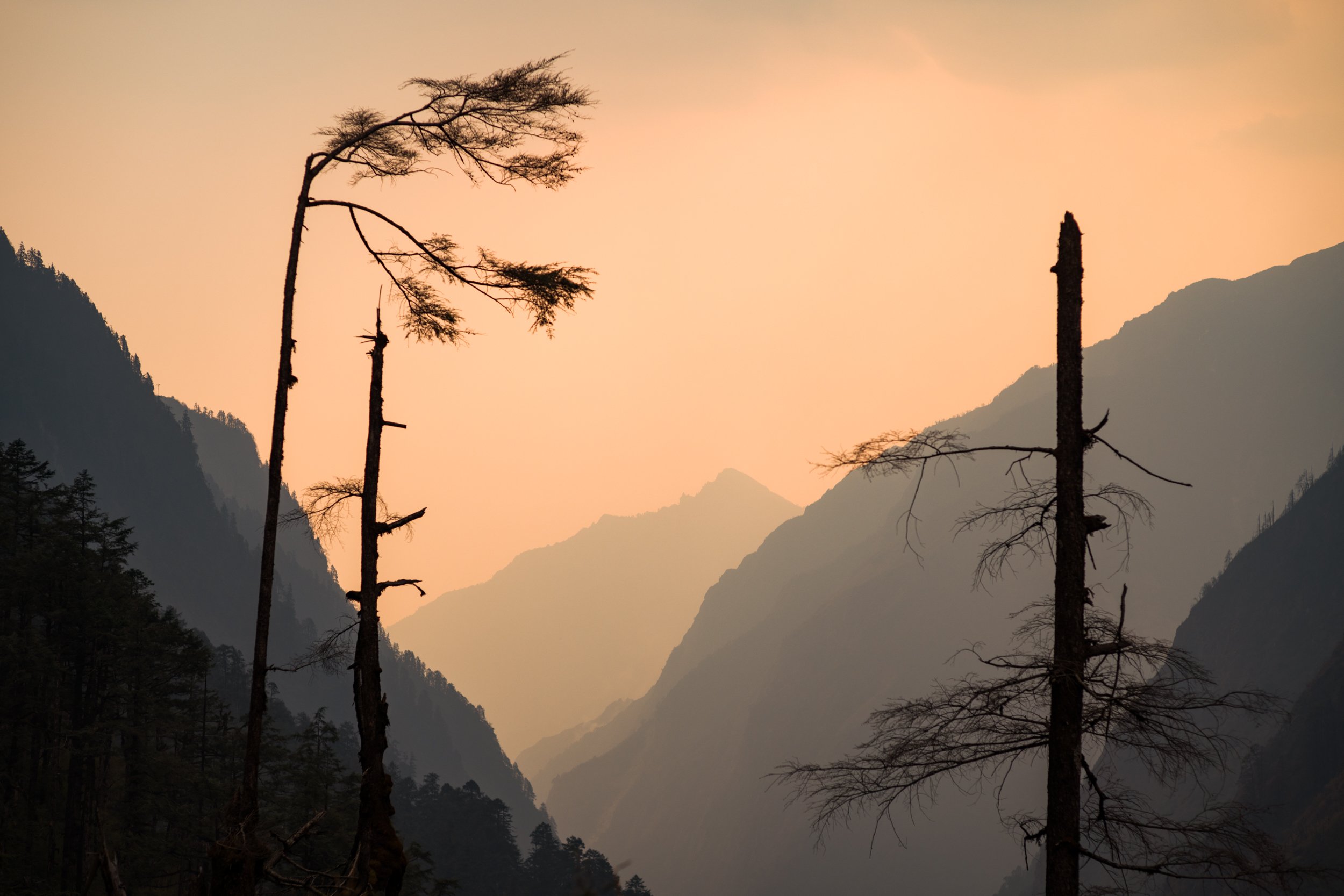  Dhaulagiri Himal/Nepal 