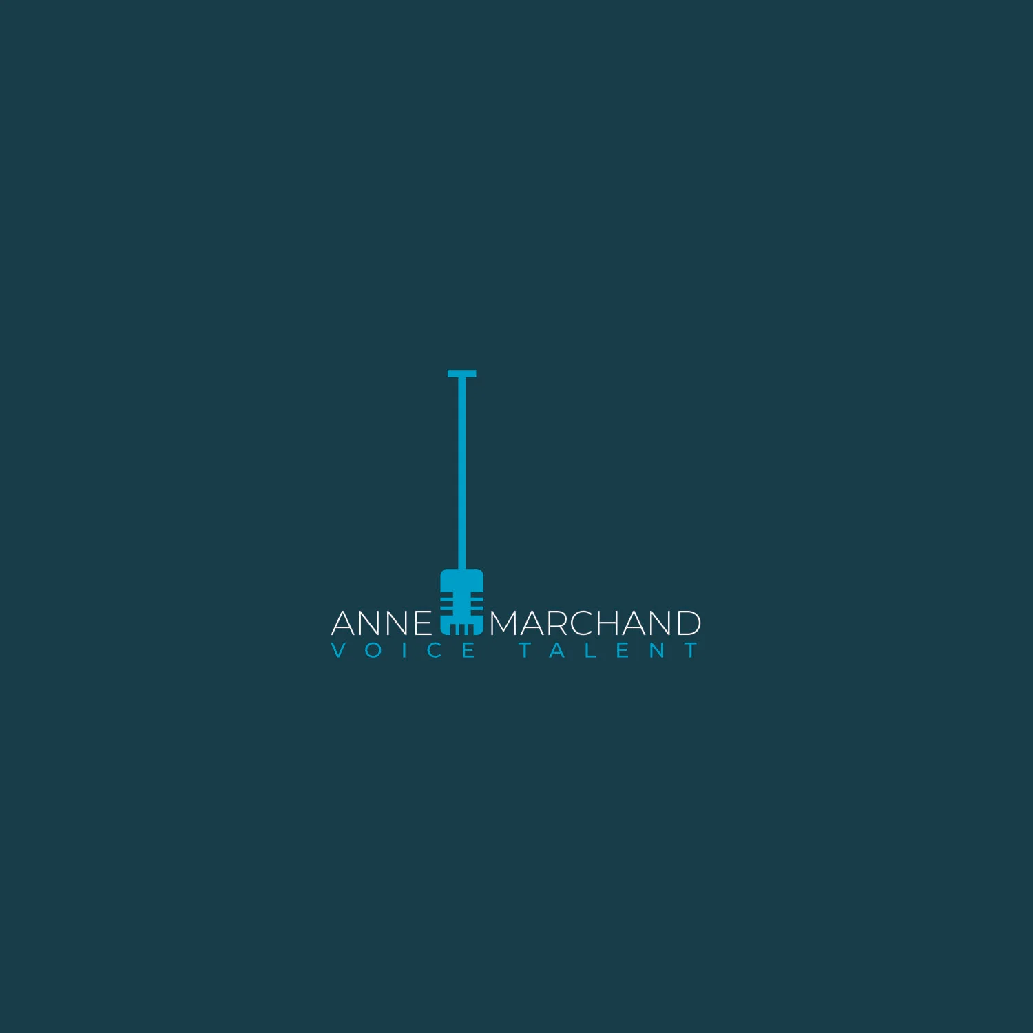 Logo AM VO 1.jpg