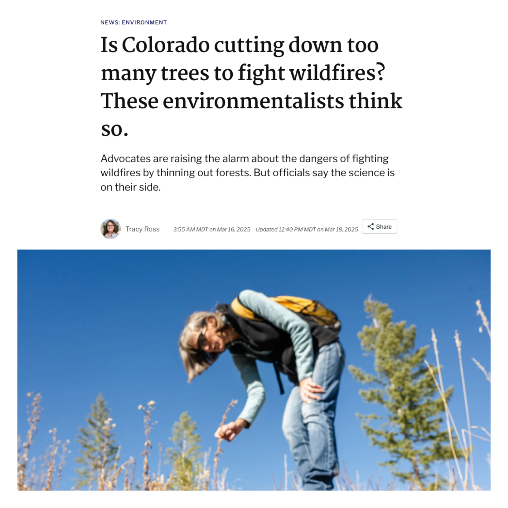 In the News 3.png