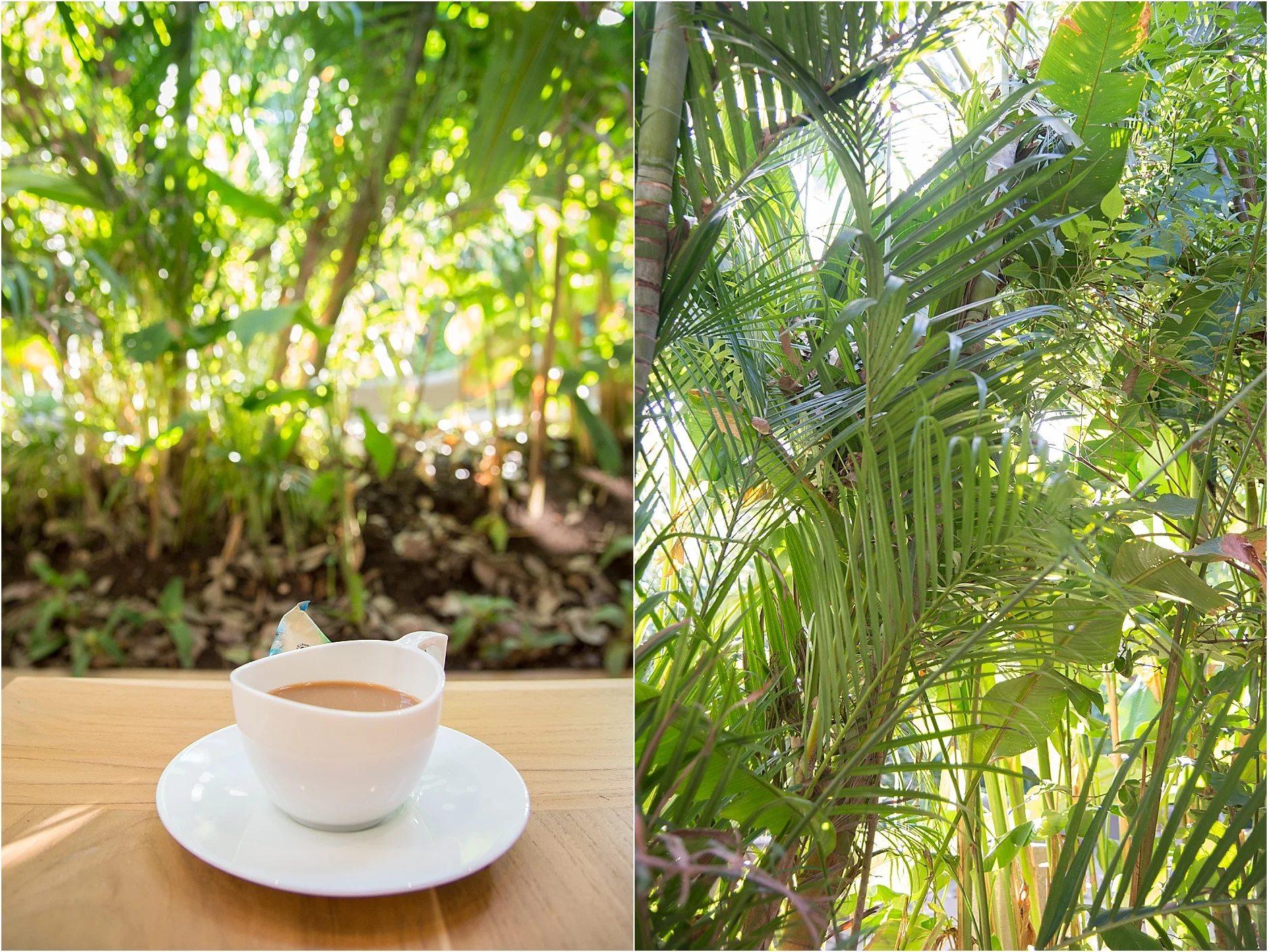 Destination Costa Rica Wedding Photographers - Tamarindo_0001 - Cafe Britt Coffee in Tamarindo
