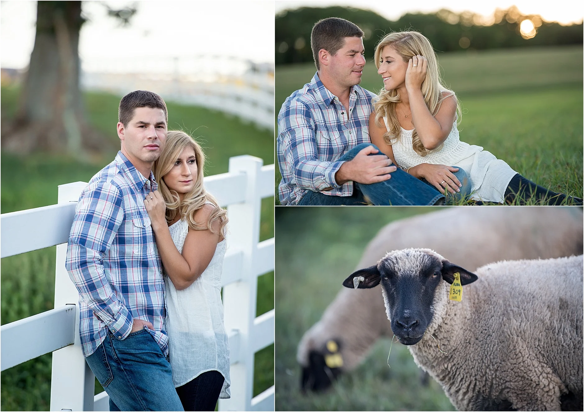 Destination Wedding Photographers _ Connecticut Wedding-Uconn engagement - Brittany Rae Photography