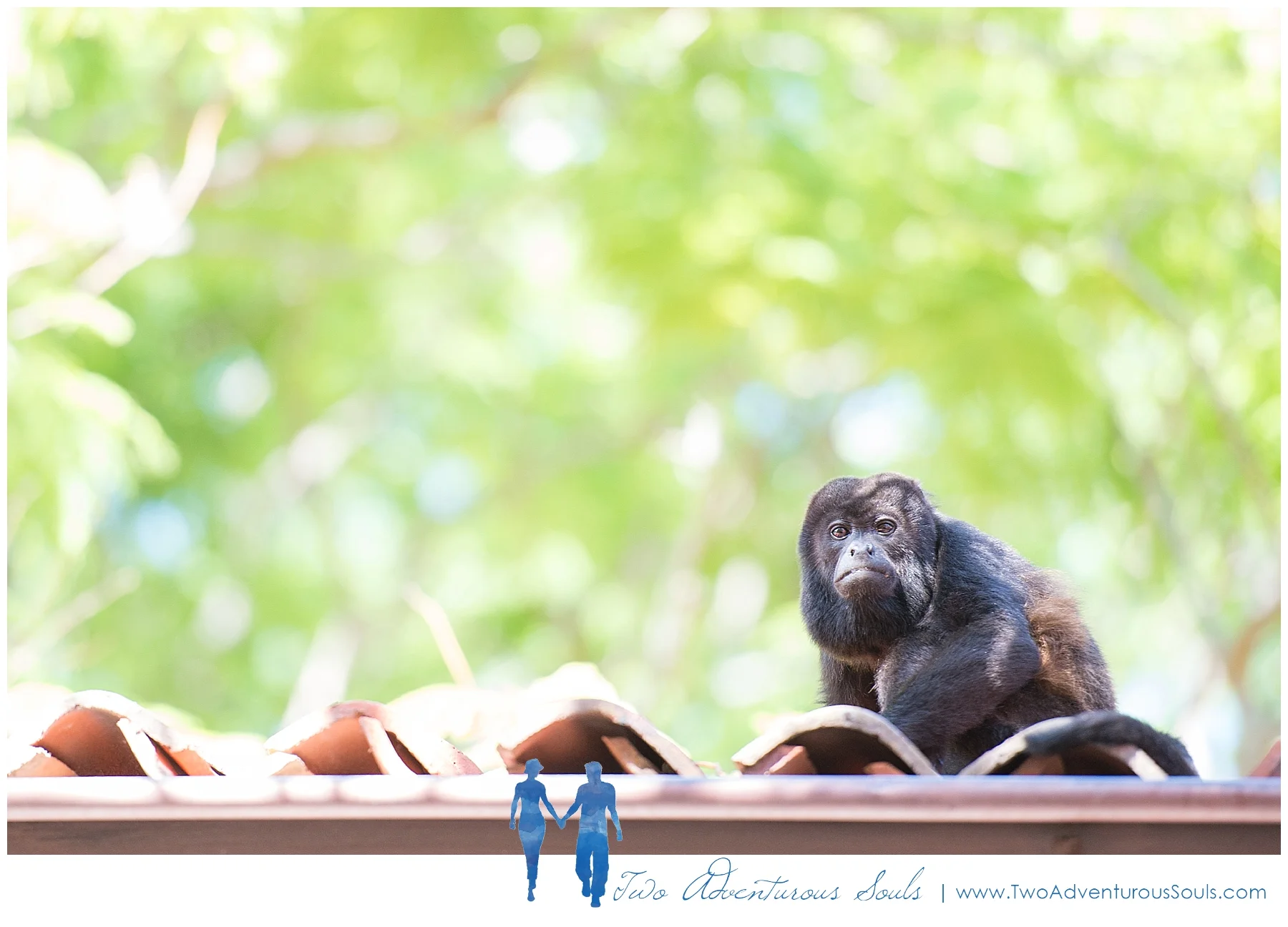 Sueno del Mar Wedding, Costa Rica Wedding Photographers - Two Adventurous Souls_0066