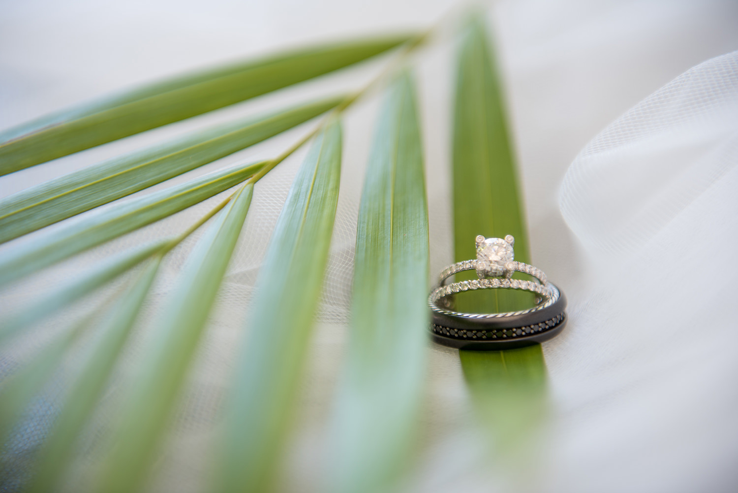 022219 - Donell & Michelle - Wedding-10.jpg