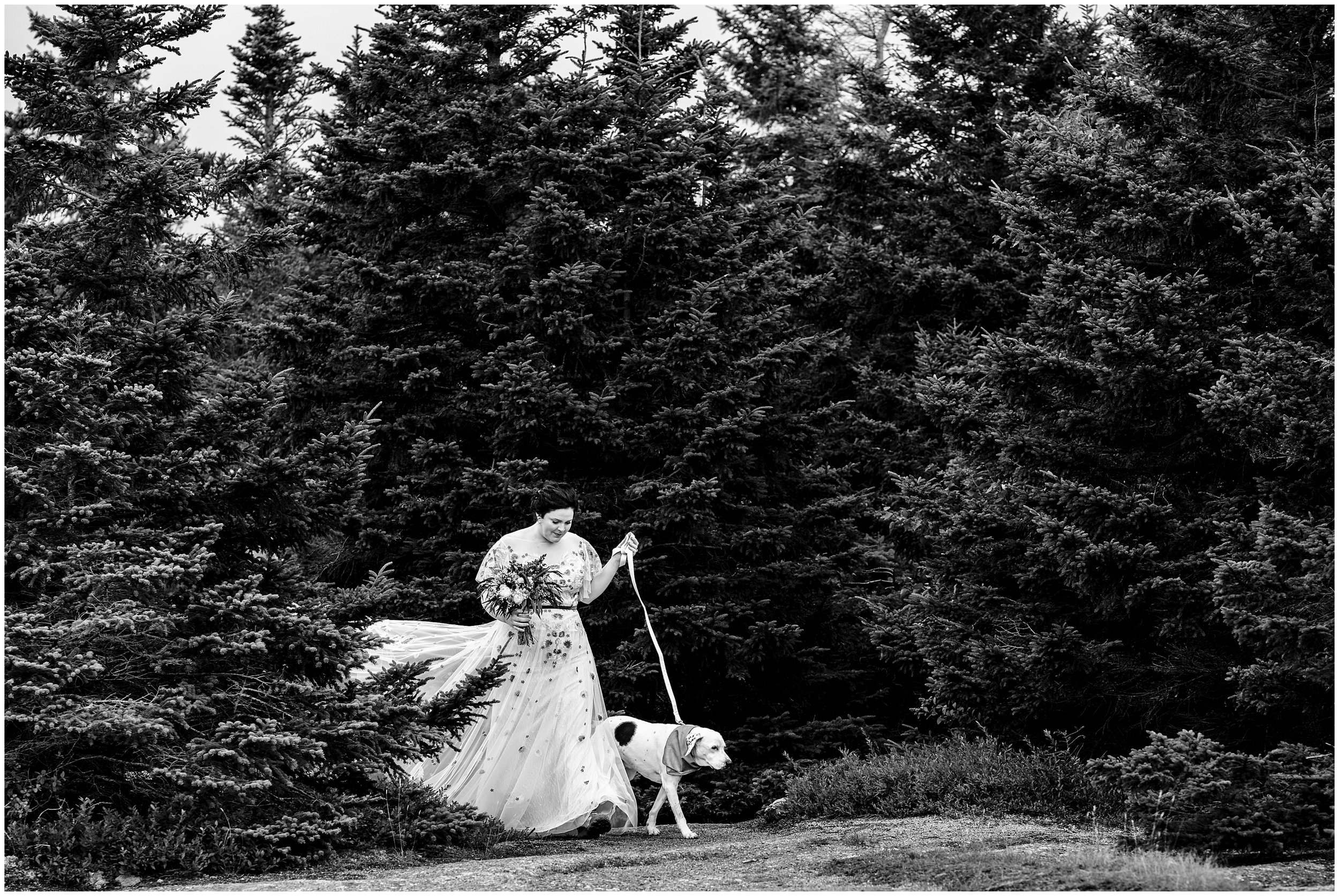 White Mountains Adventure Wedding Photographers, Hike Wedding Photographers, Two Adventurous Souls- 081723_0027.jpg