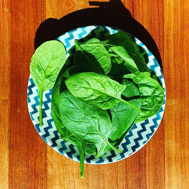 Sundays are for Spinach. Real deal delicious Spinach. 💪
