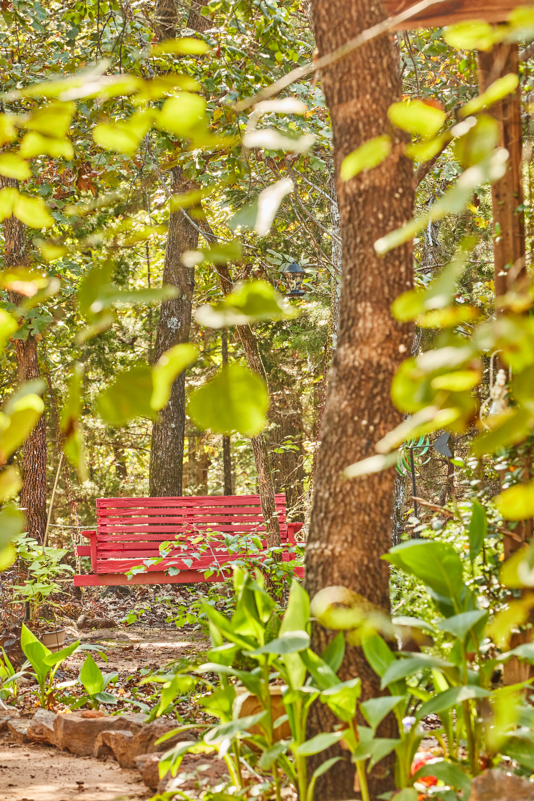 Rock Garden Red Swing Trees Leaves GREAT blackmon_201004_9507.jpg