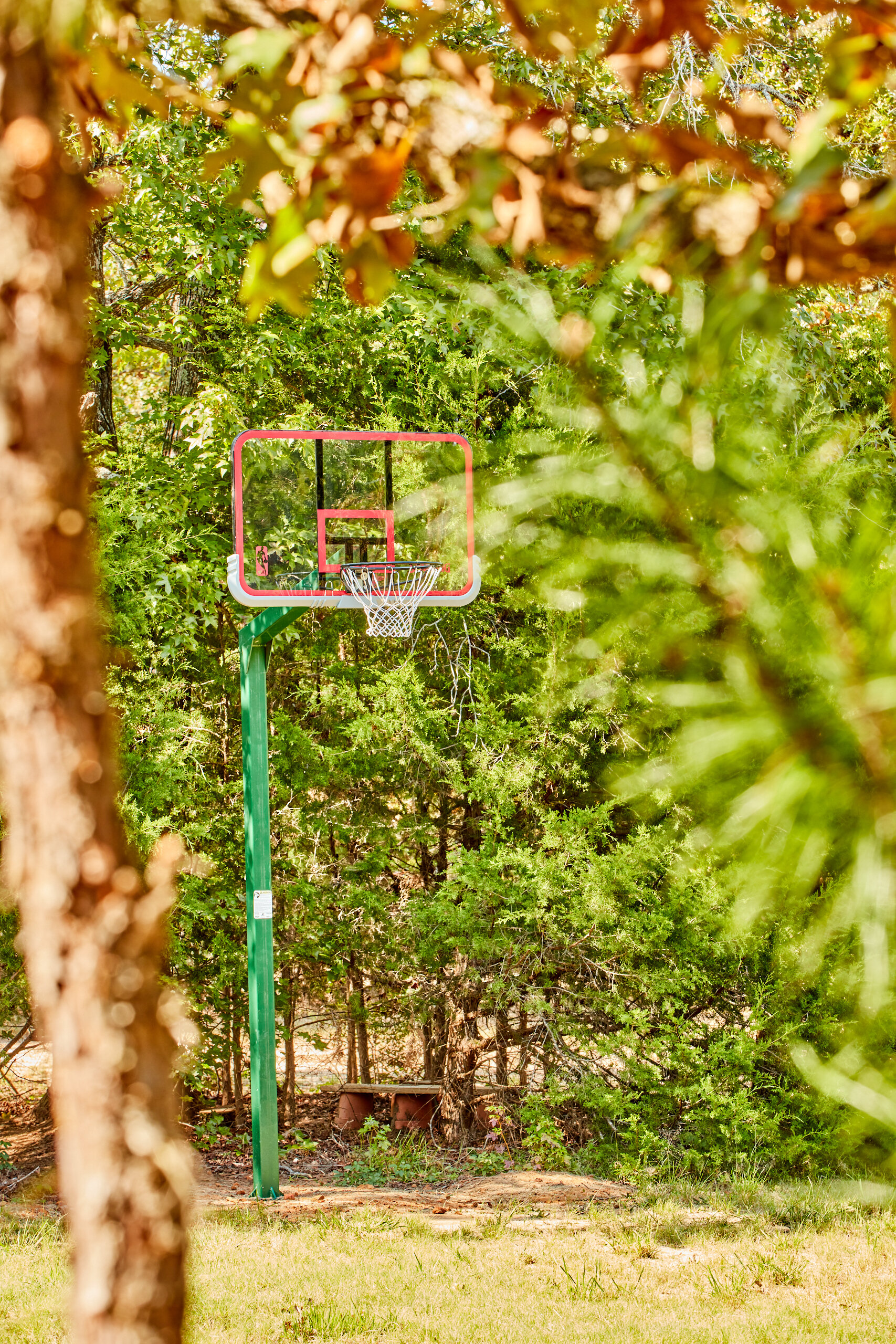Meadow Basketball Goal Trees Distant   GREAT  blackmon_201004_9461.jpg