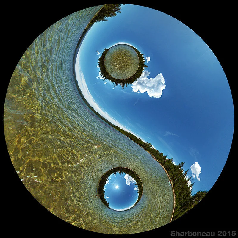 Predictability AND Adaptability: A Healthy Tension