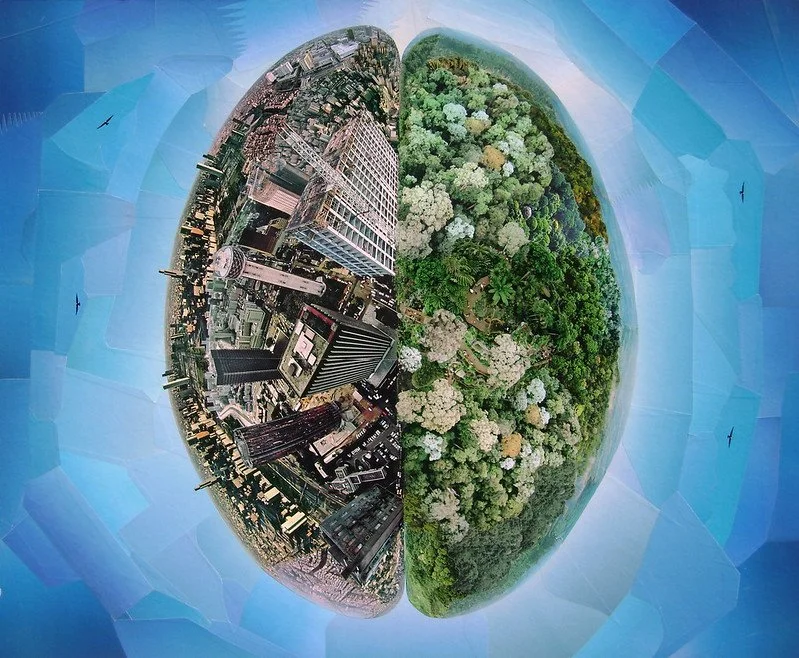 Your Brain at Work: Analytical versus Social Thinking