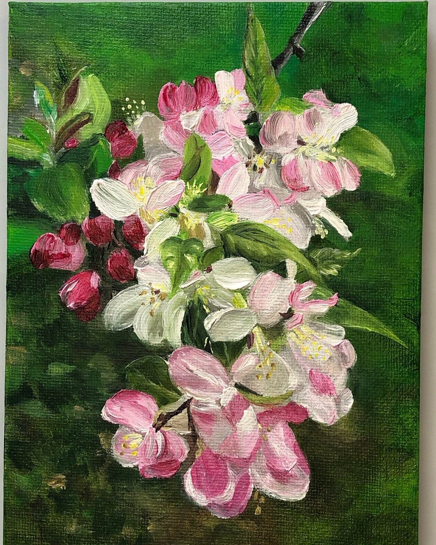 Took Archie on a walk yesterday and came across these beautiful blossoms on Monticello. Spent the rest of the day painting them. I don&rsquo;t think they&rsquo;re cherry blossoms. Anyone know what kind of tree it is?

5x7&rdquo; oil on canvas

#oilpa