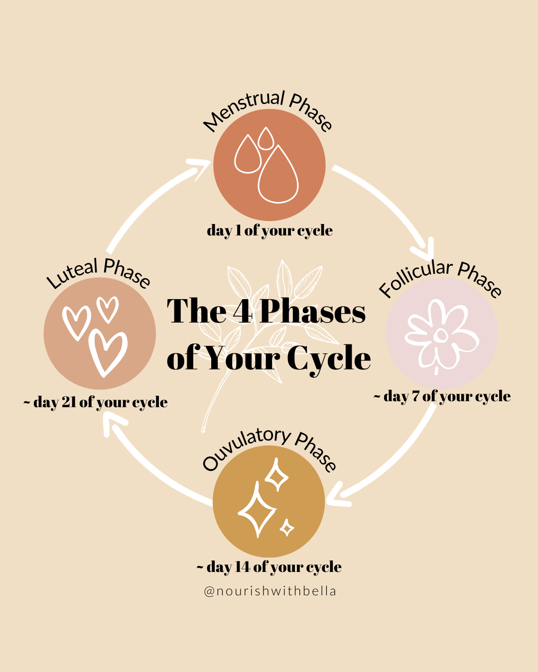 The 4 Phases Of Your Menstrual Cycle - Affinity Health