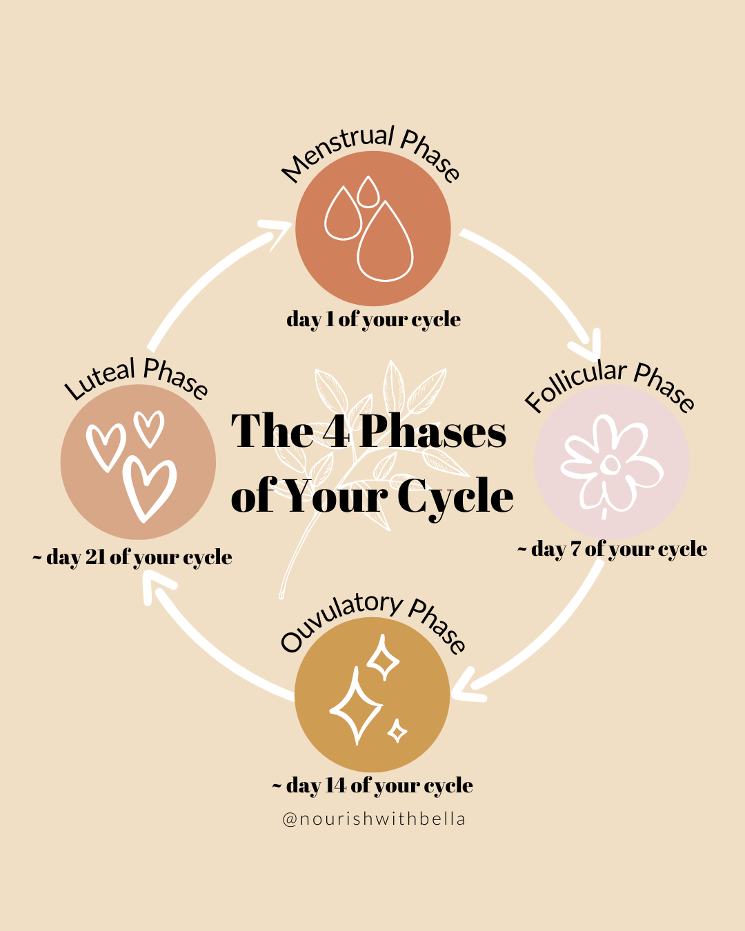 How To Optimize Your Life With Your Cycle Nourish With Bella