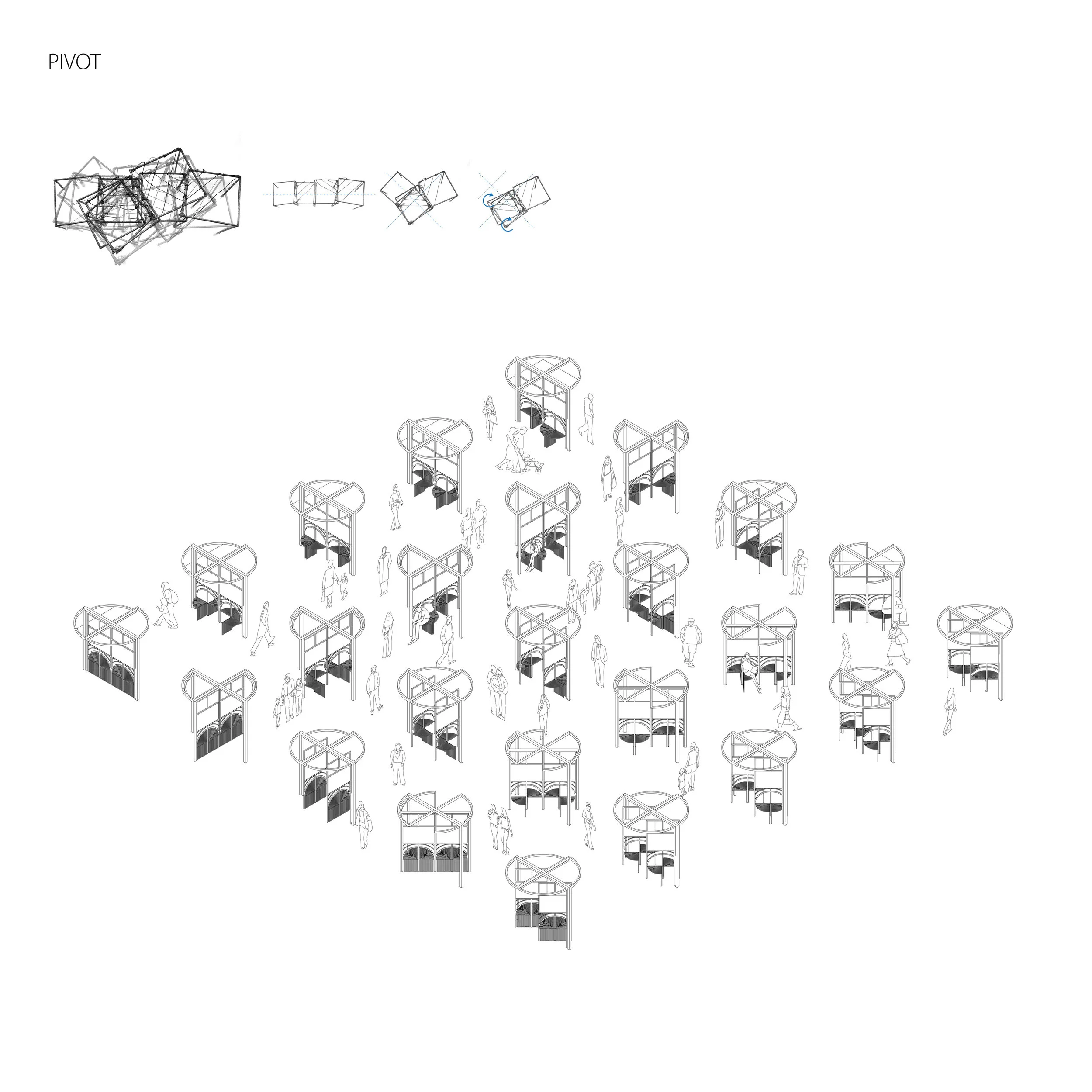 Single Section Options.jpg