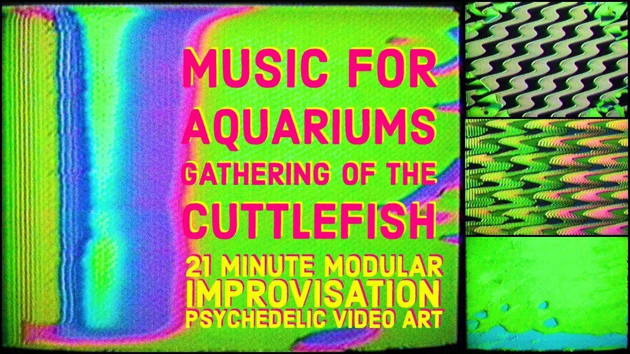 Robotboot "Music for Aquariums: Gathering of the Cuttlefish” | Video Art | Electronic Music | Chill