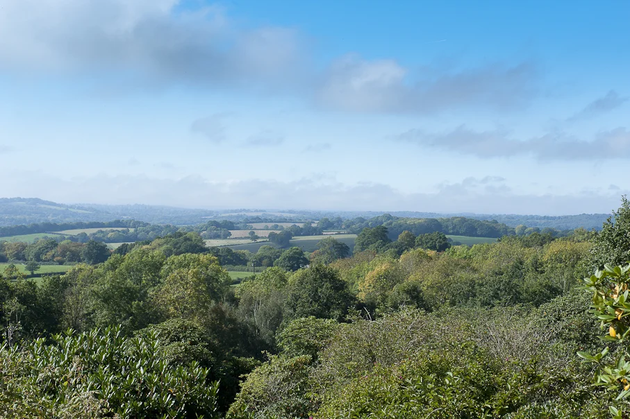 The view from the garden