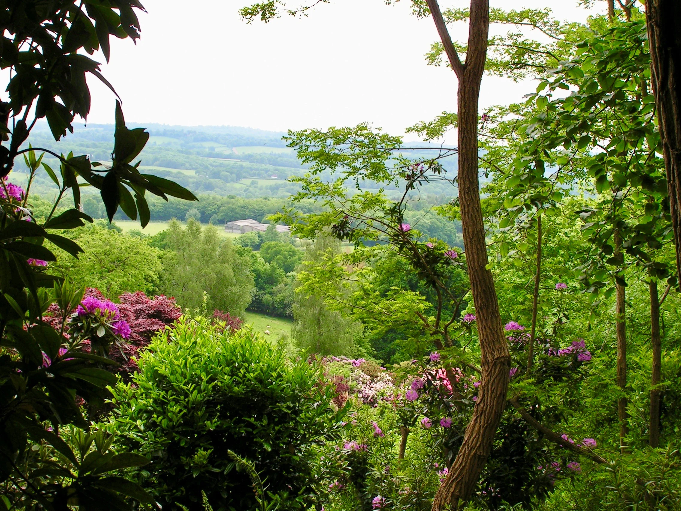 PICT0150.jpg