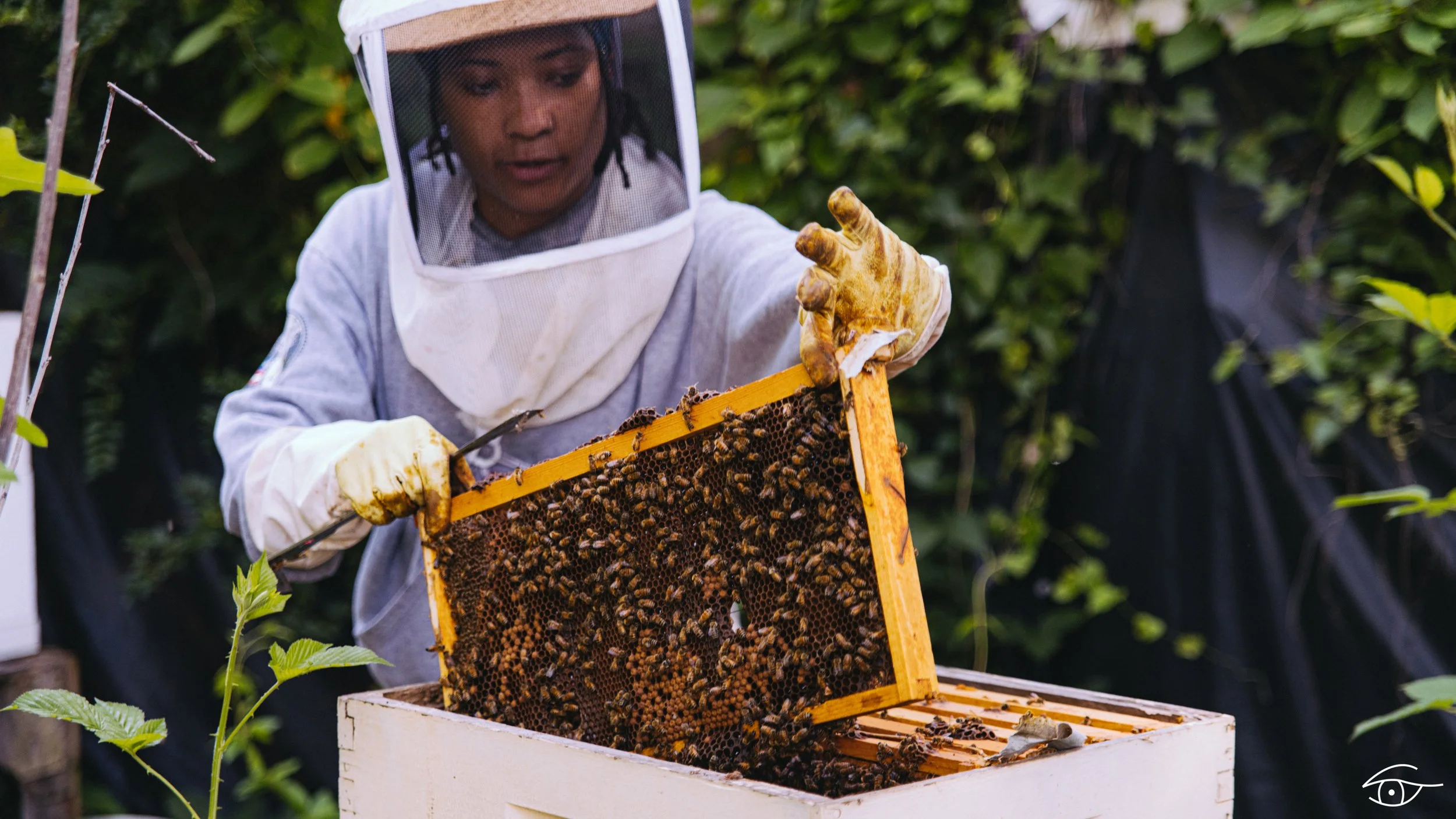 Hive Mind - TheCreativeGent-34.jpg