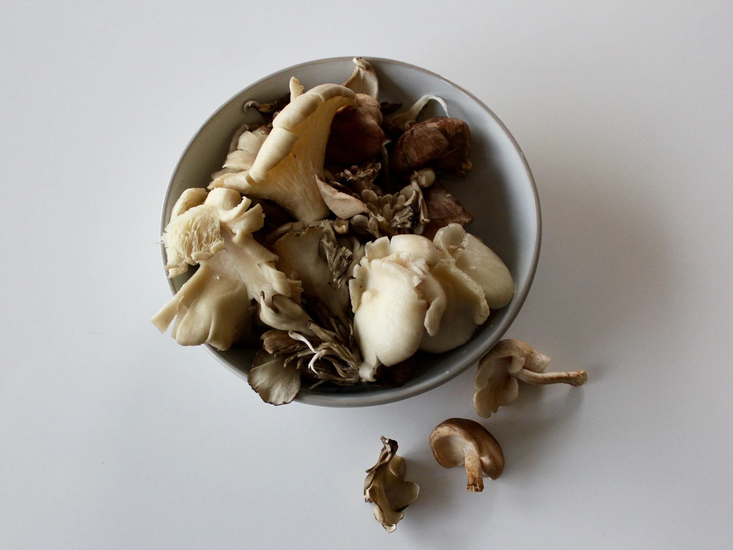 Fettuccine with porcini and truffle — Julia Eats Italy