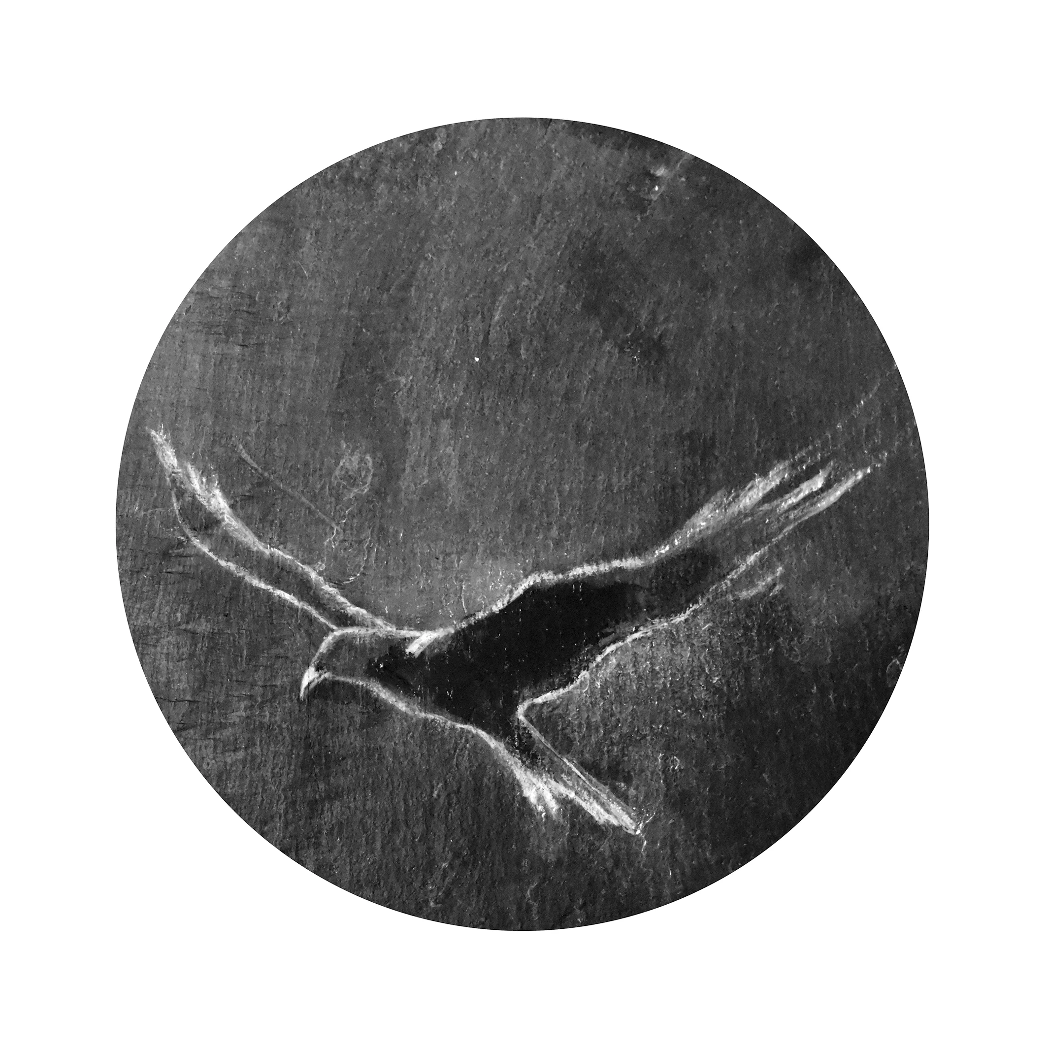 Crow-Recovered.jpg