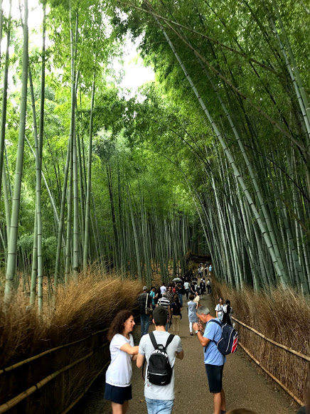 Arashiyama  1.jpg