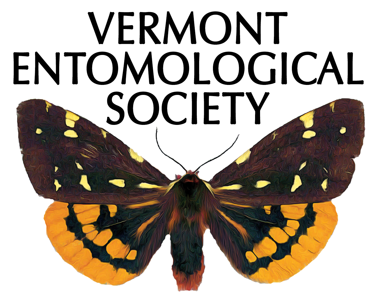 Vermont Entomological Society