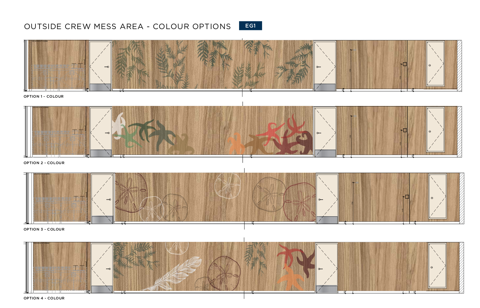 BCF graphic options.jpg