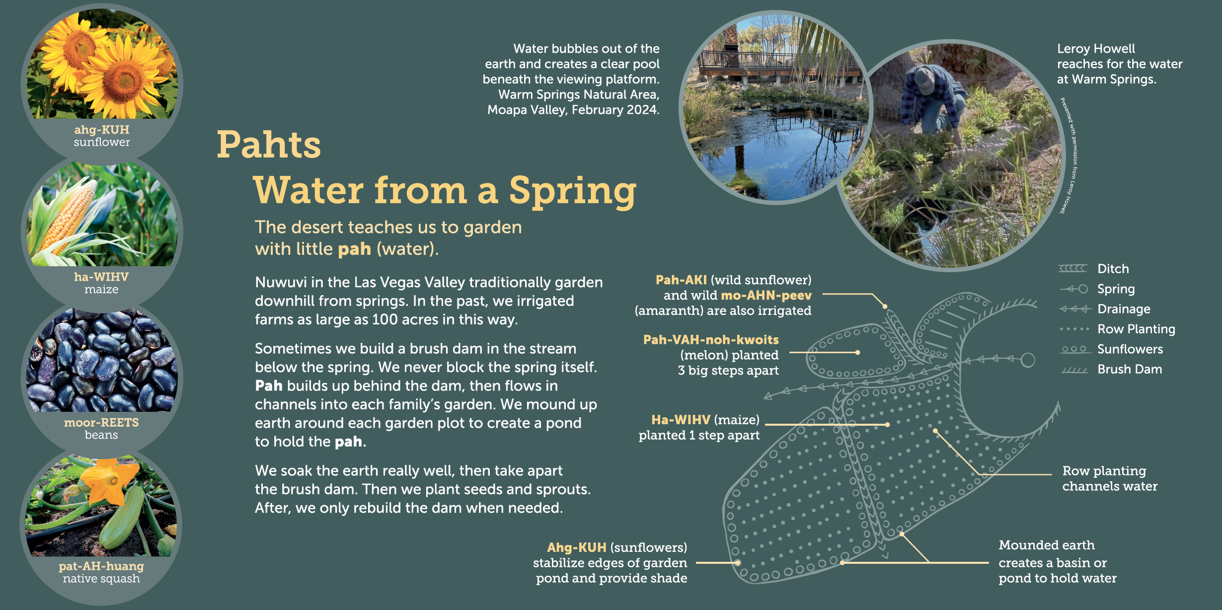 SPEG_Spring Irrigated.png